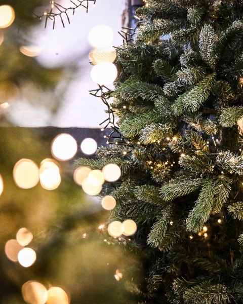 Strandmøllekroens Julebord - En højtidelig menu i stemningsfyldte omgivelser!