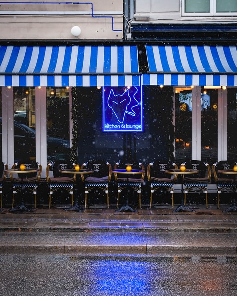 Valgfri 3-retters på Den Blå Hund - Legendarisk Frederiksberg-Café