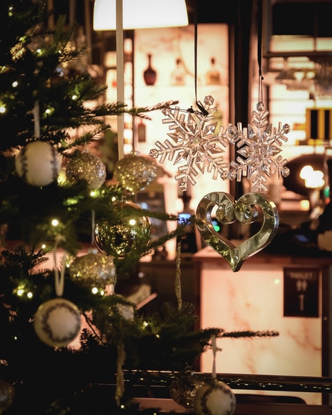 Valgfri 3-retters på Den Blå Hund - Legendarisk Frederiksberg-Café