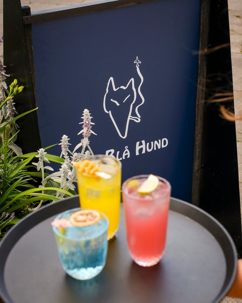Cocktails & Snacks - Den Blå Hund's Nyåbnede Udebar på Frederiksberg