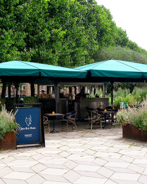 Cocktails & Snacks - Den Blå Hund's Nyåbnede Udebar på Frederiksberg