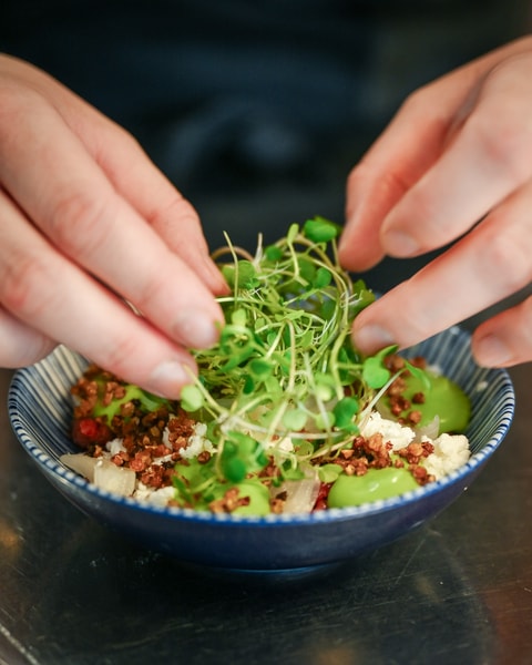 4-Retters Frokostmenu på Gemini