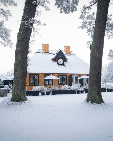Den Gule Cottages julebord