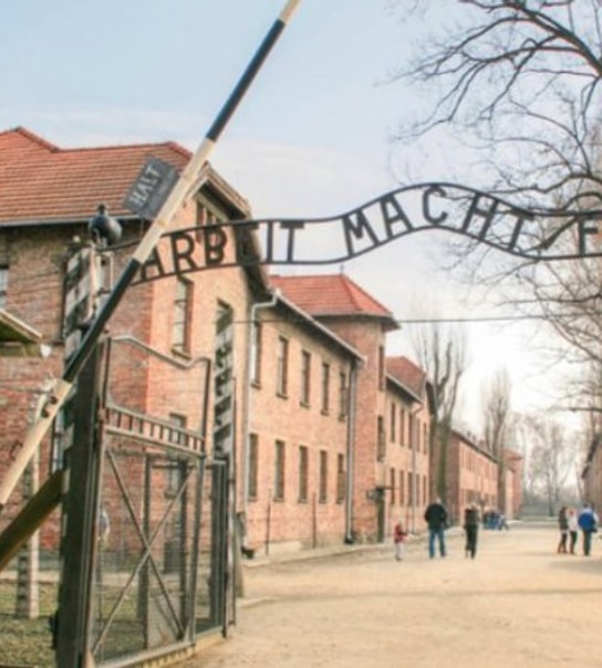 Oplev Krakow og Auschwitz