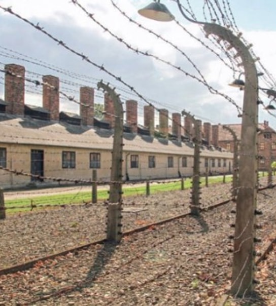 Oplev Krakow og Auschwitz