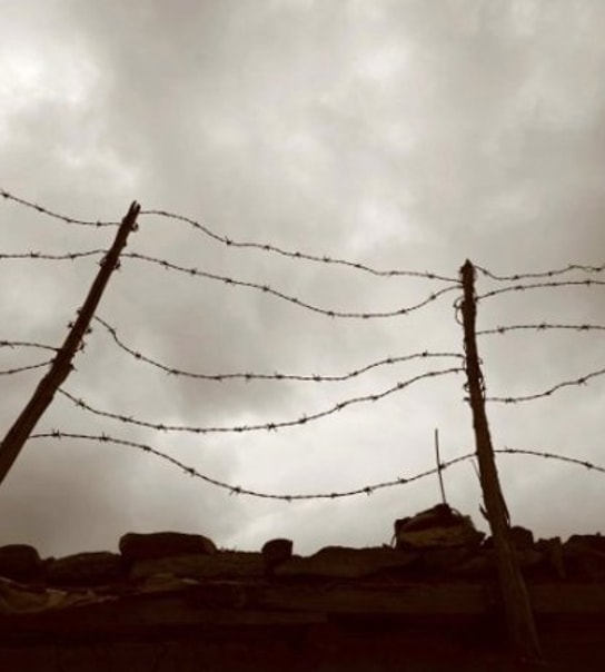 Oplev Krakow og Auschwitz