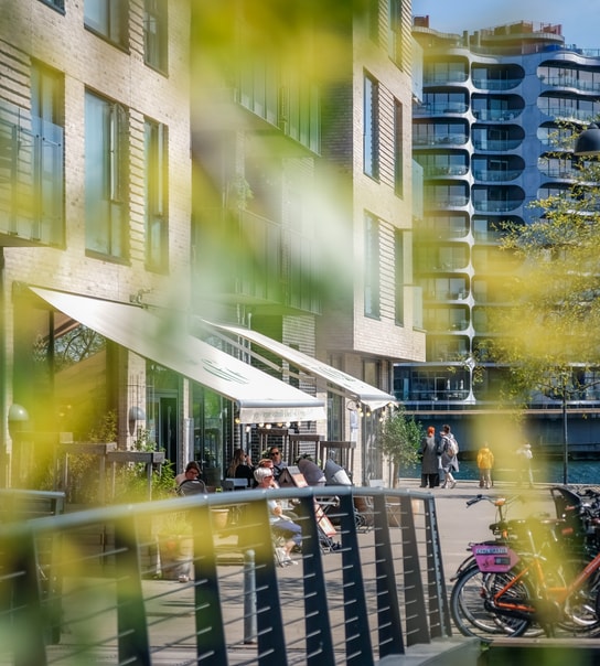 To fluffy baos og frisk side salat hos yoga-café med havudsigt i det nye, hippe Sydhavnen