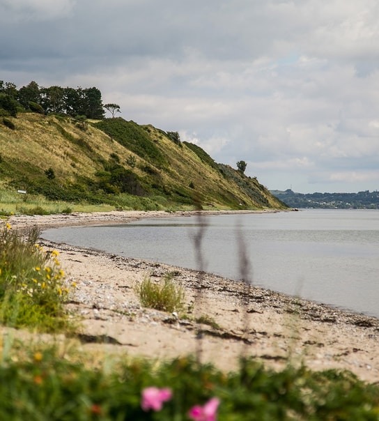 Fuglsøcentret i Mols Bjerge