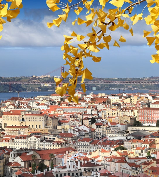 Bo centralt i smukke Lissabon