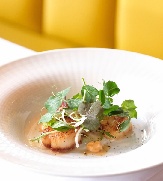 Eksklusiv 4-retters inkl. vinmenu på Dag H | Østerbros skønneste beliggenhed