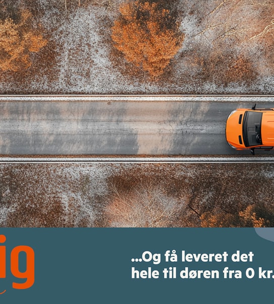 HALV PRIS PÅ DAGLIGVARER - LEVERET TIL DIN DØR!