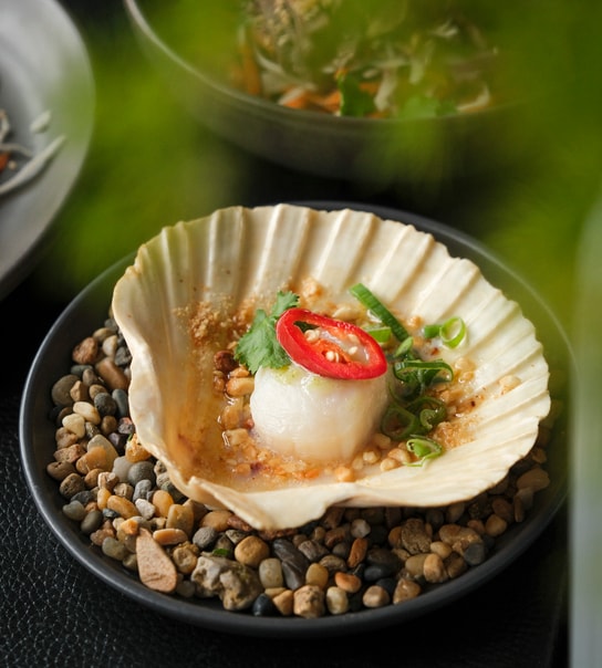5 Farverige Serveringer hos Sàigòner Bistro | Vietnamesisk Velsmag i Hyggelige Omgivelser