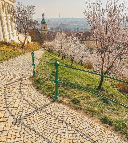 Storbyrejse til fantastiske Prag