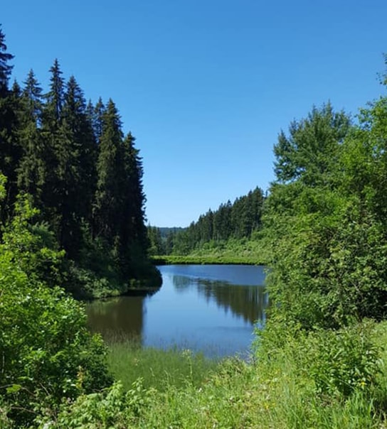 All Inclusive: Hotel Harzöhe | 3 overnatninger
