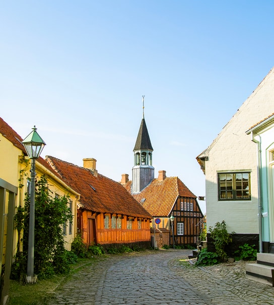 Fuglsøcentret i Mols Bjerge