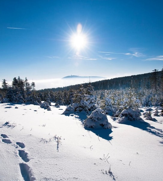 All Inclusive: Hotel Harzöhe | 3 overnatninger