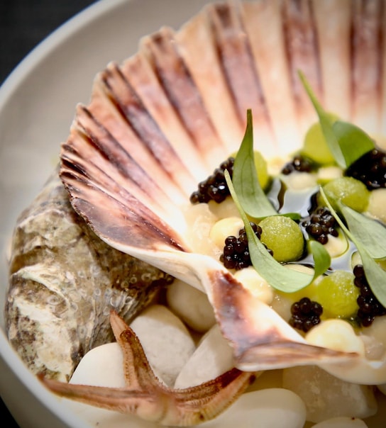 8 Serveringer hos Restaurant Rebel - Anbefalet i Michelin-guiden på 12. år
