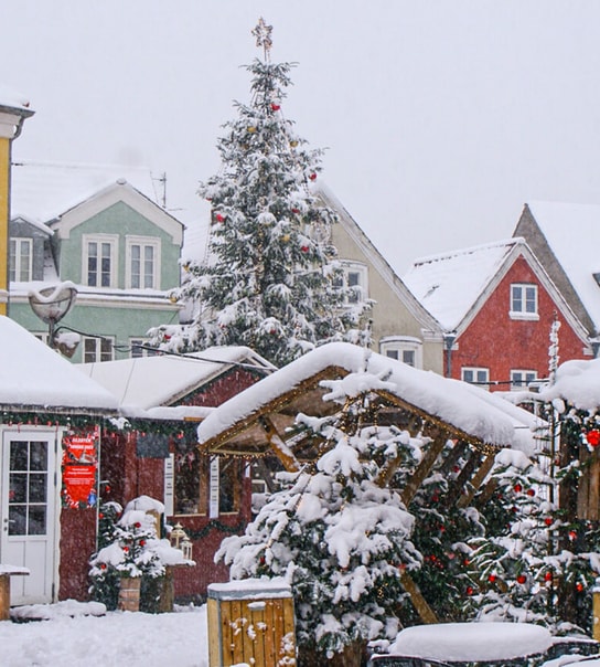 Julestemning og natur i Tønder