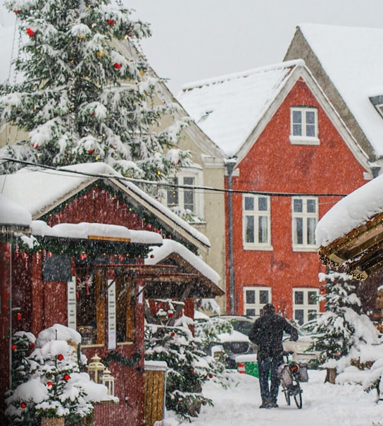 Julestemning og natur i Tønder