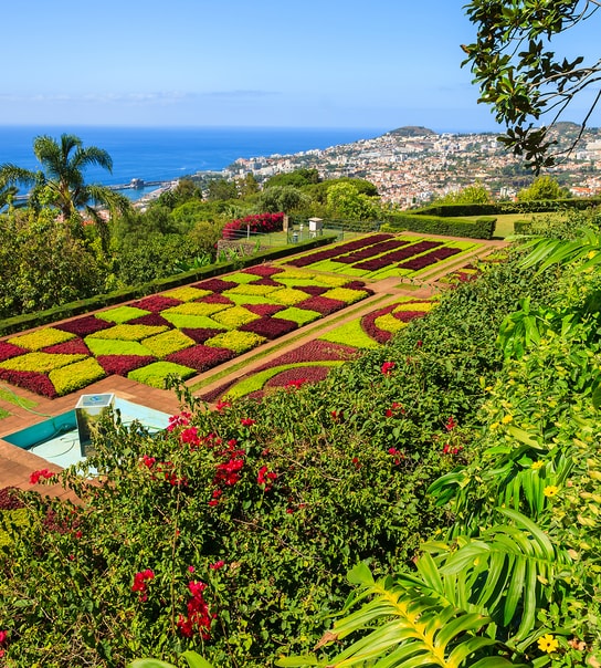 Solferie til naturskønne Madeira