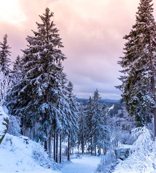 All Inclusive-ferie i Harzen