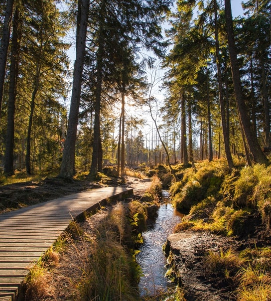 All Inclusive-ferie i Harzen