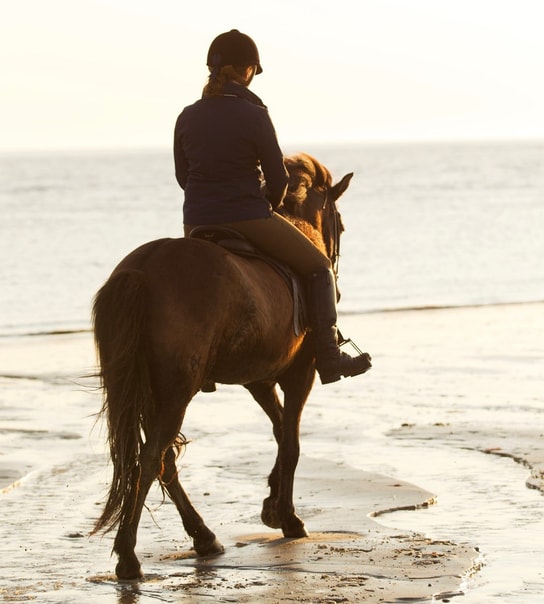 Kommandørgården på Rømø inkl. udflugt til Sild