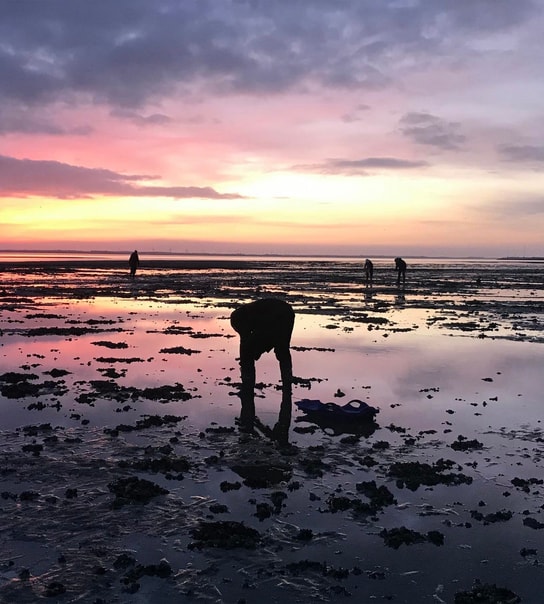 Kommandørgården på Rømø inkl. udflugt til Sild