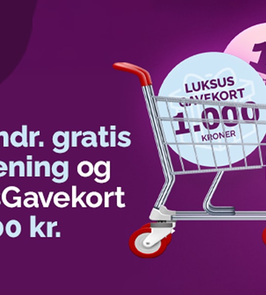 12 mdr. GRATIS Fagforening + LuksusGavekort på 1000,-