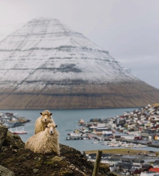 Oplev fascinerende Færøerne