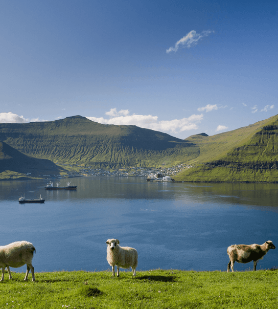 Oplev fascinerende Færøerne