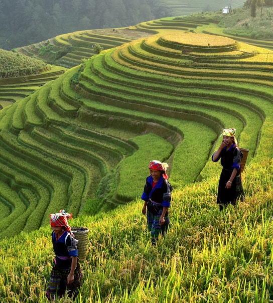 Drømmerejse til Bali og Gili-øerne