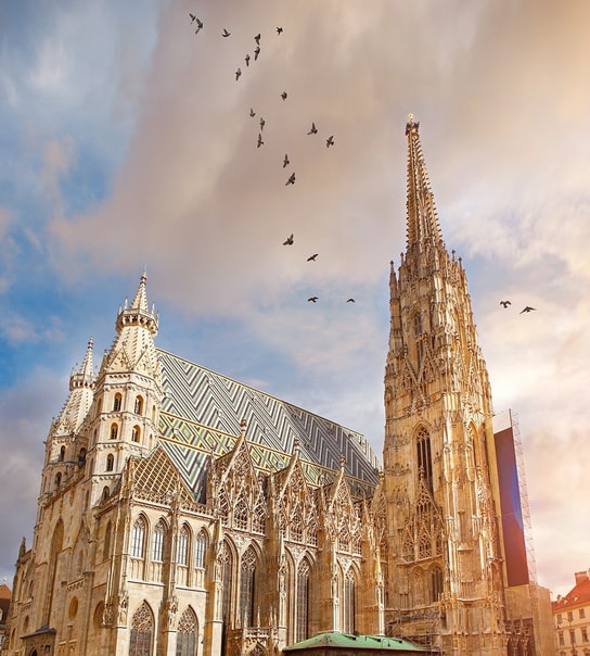 Oplev fantastiske Wien | Til en skarp pris!