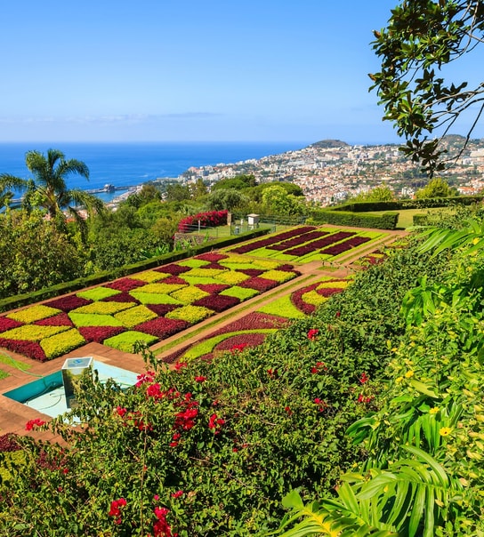 Oplev Madeira med Apollo