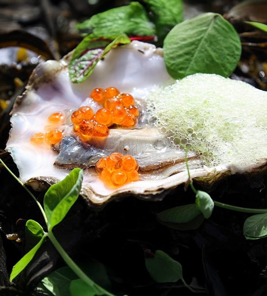 Luksusophold på Mortens Kro