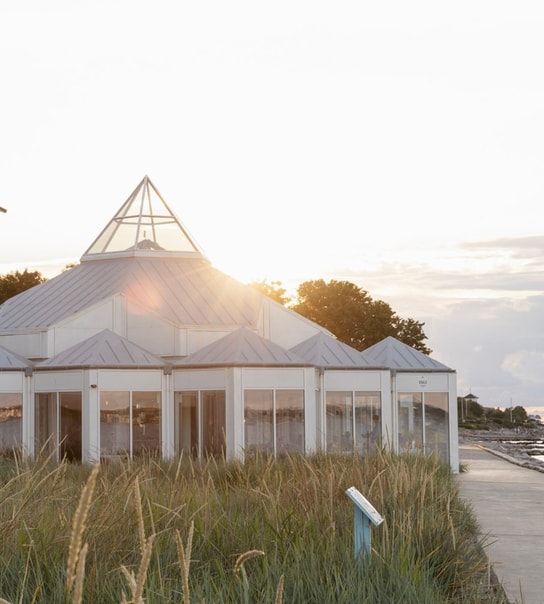 Vintermorgen Deluxe på Marienlyst