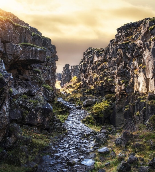 Drømmerejse til Island