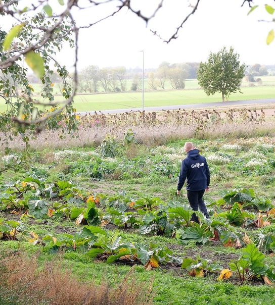 Set på TV: Bageentusiast inviterer til spiritussmagning