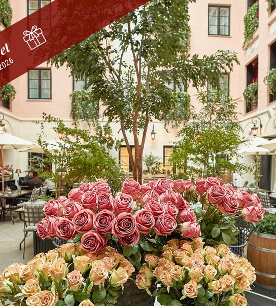 Bo på det prisvindende MJ'S