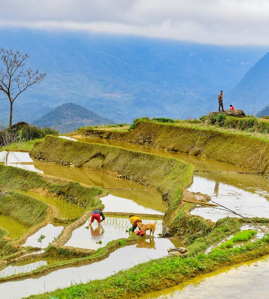Oplev hele Vietnam fra nord til syd
