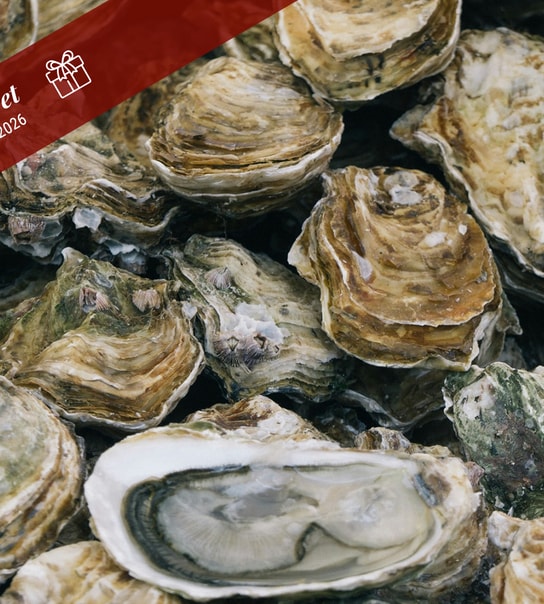 Getaway ved den tyske grænse