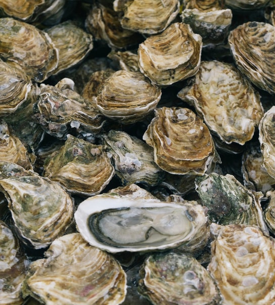 Getaway ved den tyske grænse