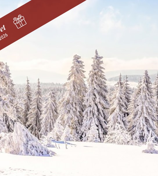 All Inclusive: Hotel Harzöhe | 3 overnatninger