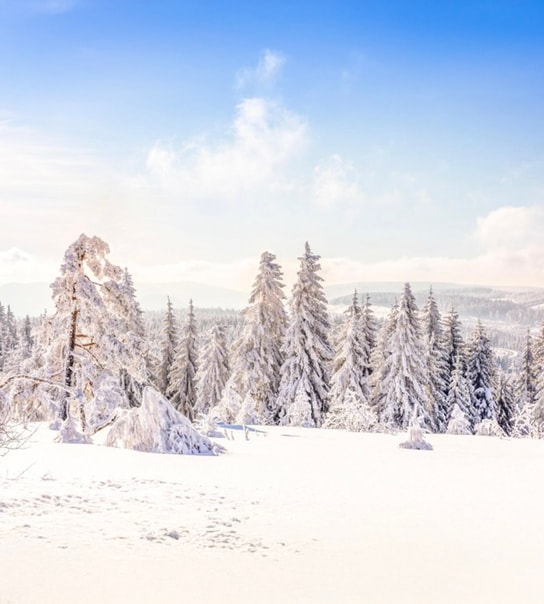 All Inclusive: Hotel Harzöhe | 3 overnatninger