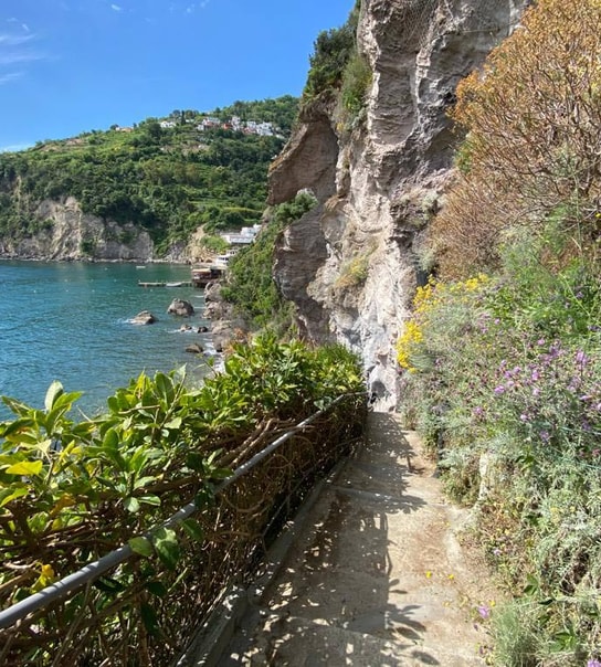 Fortryllende rejse til italiener-øen Ischia