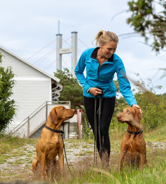 Tjörnbro Arena: Et ophold for hele familien