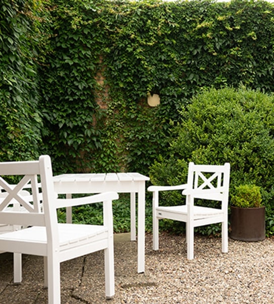 Sort Sol-Safari i Tønder