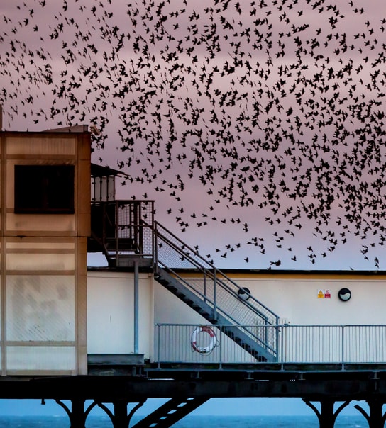 Getaway ved den tyske grænse