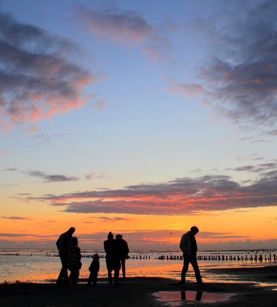 Østerssafari i Vadehavet - Kommandørgården Rømø