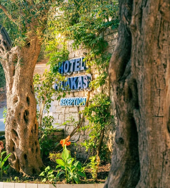 Voksenferie til Sivota med Apollo